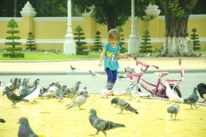 30 giờ khám phá Phnom Penh bằng xe máy