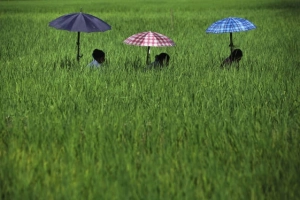 30 hình ảnh tuyệt đẹp về người phụ nữ lao động trên khắp thế giới