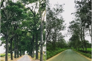 4 con đường ở Tây Nguyên đẹp như cảnh trên phim Hàn