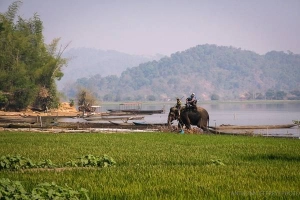 4 ngày du ngoạn Đắk Lắk dịp hội đua voi