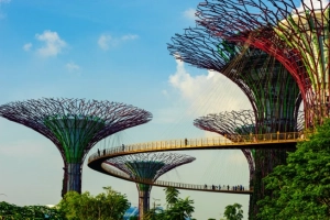 4 trải nghiệm du xuân dành cho cặp đôi tại Singapore