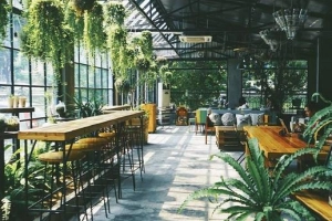 5 quán cà phê không gian xanh ở Hà Nội