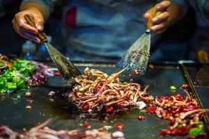 6 lời khuyên giúp bạn trở thành một du khách lịch sự