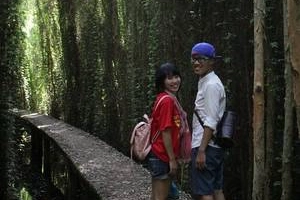 7 điểm đến hấp dẫn không thể bỏ qua khi du lịch Long An