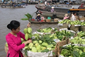 7 điều chinh phục du khách khi du lịch miền Tây