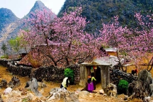 8 điểm du xuân &#8216;trên cả tuyệt vời&#8217; dọc miền đất nước