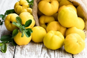 8 lợi ích sức khỏe của mộc qua