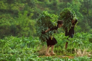 8 lý do khiến du lịch Sapa là nơi ‘tránh nóng’ lý tưởng nhất trong mùa hè này