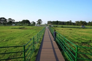 9 điểm tham quan miễn phí không thể bỏ qua khi du lịch đảo Jeju