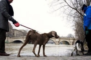9 điều khiến du lịch Paris không hoa lệ như bạn tưởng