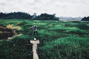 9 vườn quốc gia ở Việt Nam bạn phải ghé thăm một lần trong đời