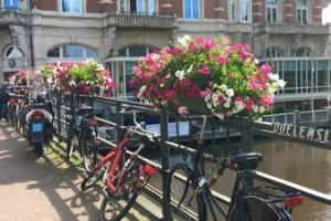 Amsterdam yên bình qua ống kính người Việt