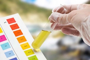 Ăn gì để giảm protein trong nước tiểu?