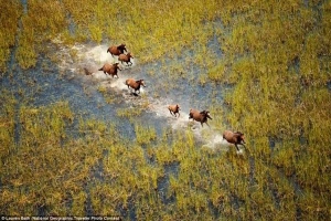 Ảnh đẹp cuộc thi Ảnh du lịch National Geographic 2015