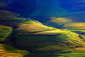 Ảnh Việt Nam đẹp lộng lẫy trên trang mạng châu Âu