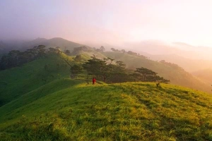 Băng rừng trên cung đường trek đẹp nhất Việt Nam