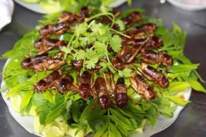 Báo Anh chia sẻ 8 điều lạ lùng ở Việt Nam