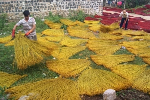 Bên trong làng dệt chiếu cói trăm năm ở Phú Yên