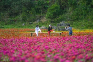 Bên trong thung lũng hoa lớn nhất Việt Nam