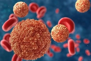 Bệnh do Arbovirus gây ra là gì?