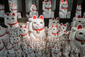 Bí mật về chú mèo may mắn Maneki Neko hay được mua làm đồ lưu niệm