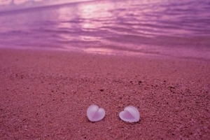 Bờ biển cát hồng tự nhiên ở Bahamas