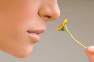 Các cách lấy lại khứu giác