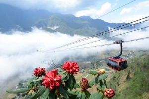 Các điểm tham quan tăng giá vé từ năm 2018