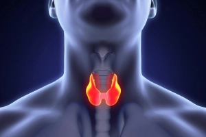 Các hormone tiết ra từ tuyến giáp