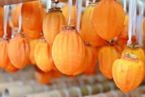 Các món ngon ở Sancheong - quê hương HLV Park Hang Seo