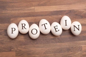 Các nguồn protein rẻ và lành mạnh