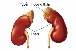 Các phương pháp chữa suy thận