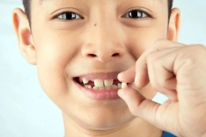 Cách bảo quản răng sữa sau khi nhổ để lấy tế bào gốc
