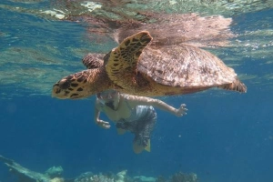 Cách khám phá Maldives khi không rủng rỉnh tiền bạc