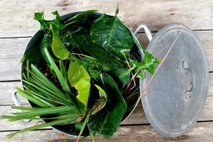 Cảm cúm có nên xông lá