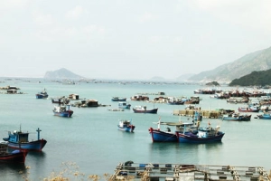 Cẩm nang du lịch Phú Yên - Quê hương của bài chòi