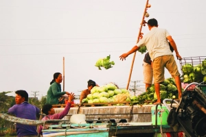 Cần Thơ - vẻ đẹp dung dị, trữ tình của mảnh đất Tây đô