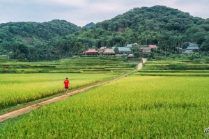 Cảnh đẹp trên đường chạy xuyên rừng Pù Luông