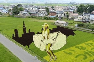 Cánh đồng Nhật Bản tạo hình Marilyn Monroe tung váy