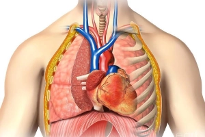 Cấp cứu và điều trị các vết thương ngực hở