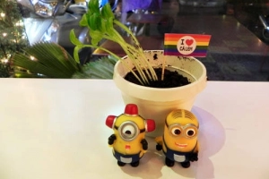 Chậu cây có thể ăn được ở Sài Gòn