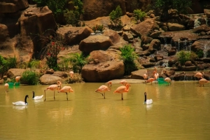 Check-in liền tay hàng loạt điểm đến mới tinh ở Vinpearl Land Nha Trang 