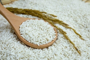 Chỉ số đường huyết của gạo nếp