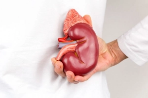 Chỉ số eGFR 79,5 có thấp không?