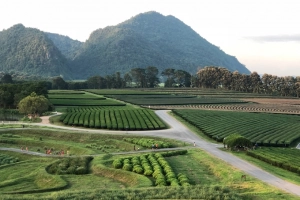 Chiang Rai - vùng đất có các điểm check-in độc lạ ở Thái Lan