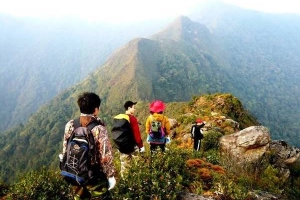 Chiêm ngưỡng vẻ đẹp sống khủng long núi Tà Xùa