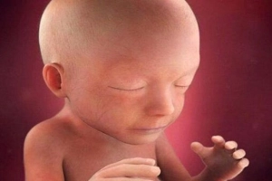 Chiều dài xương mũi thai nhi 12 tuần bình thường là bao nhiêu?