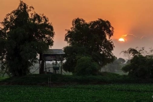 Chiều đông thanh bình bên bờ sông Đáy