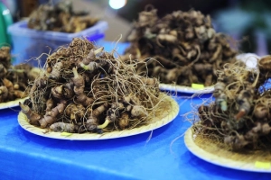 Chợ sâm giá hàng chục triệu đồng một kg ở Quảng Nam