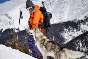 Chú chó husky chu du thế giới cùng chủ nhân